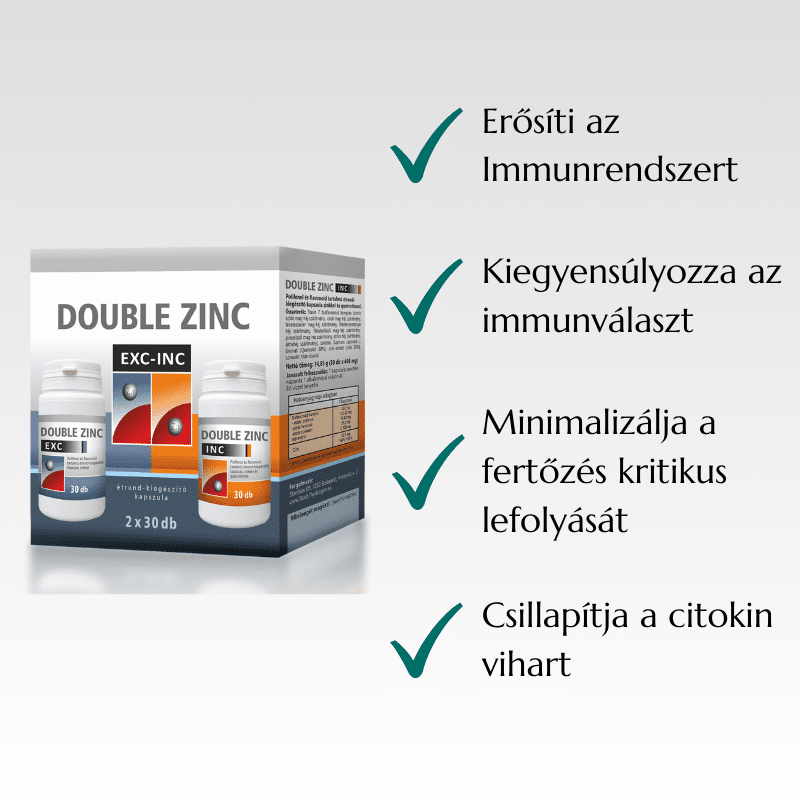 double-zinc-slide1-NEW