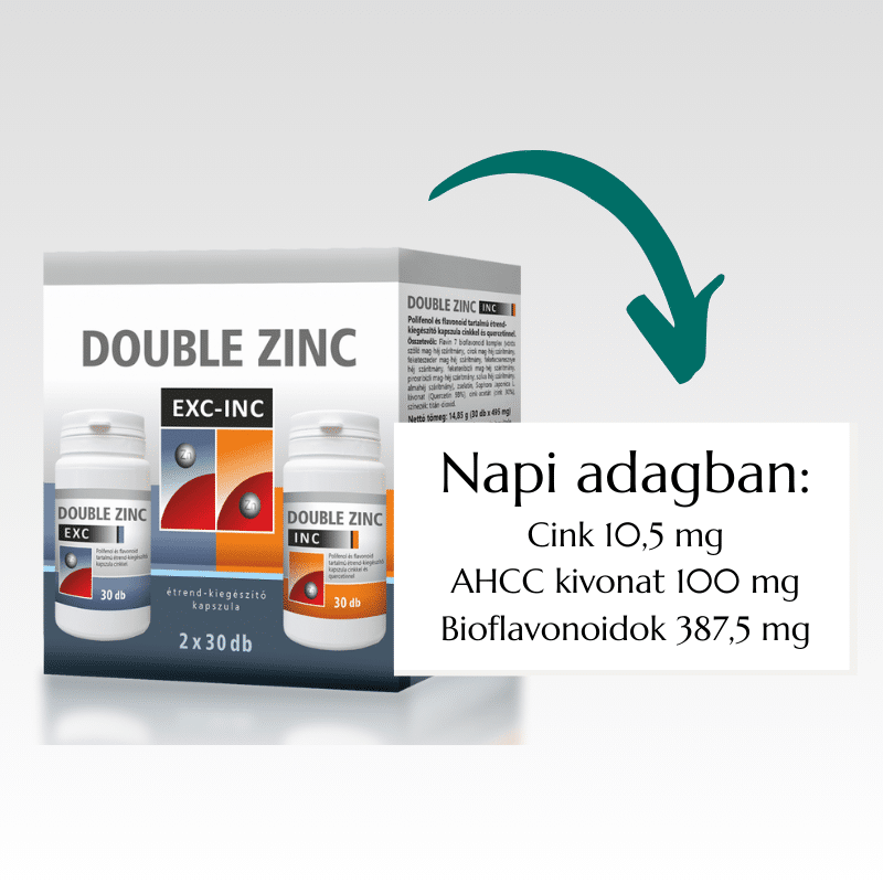 double-zinc-slide3-NEW