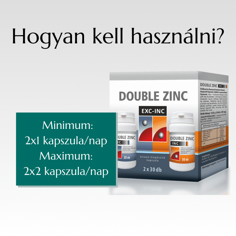 double-zinc-slide4-NEW