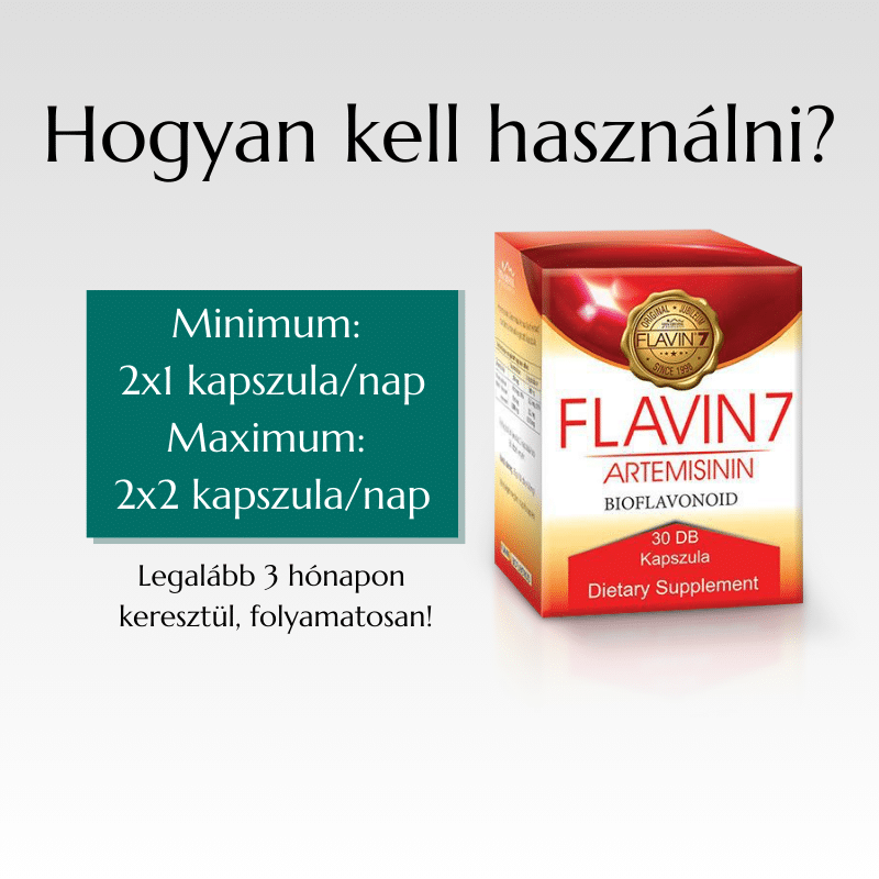 flavin7-artemisinin-30-slide4-NEW