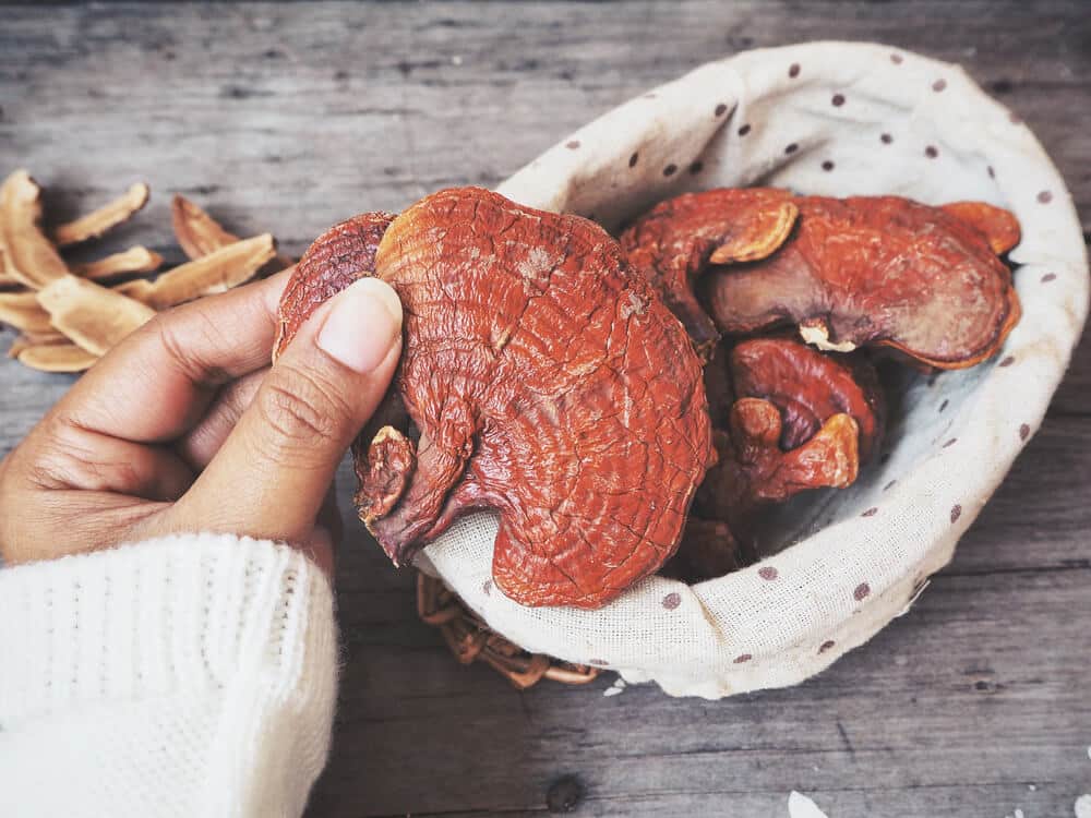 Ganoderma hatása a bőrre - Élettár